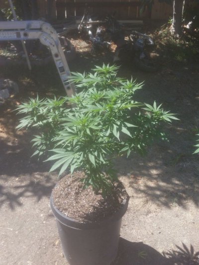 Any Tips?