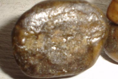 bub4.JPG