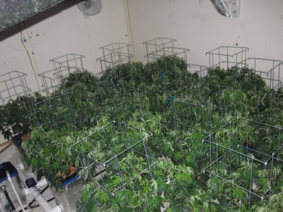 Veg.&Flwr. Rooms 256.jpg