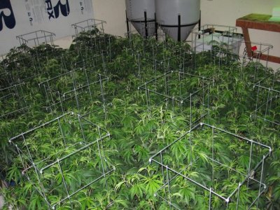 House & Garden Nutes., Under Current Systems, 30,000 Watts, 10 Tons of A/C, Co2