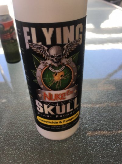 429B848B-C846-4C8E-B257-BCE89B388407.jpeg