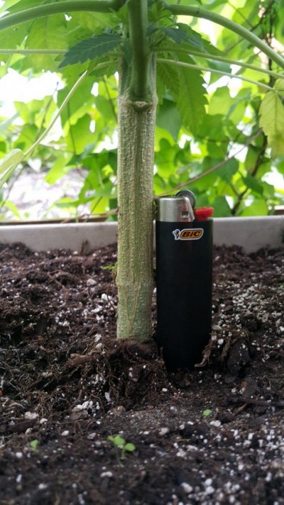 20180915_152506.jpg