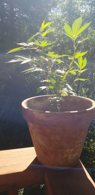 20180919_145147.jpg