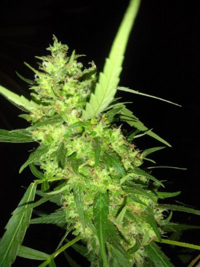 Getting Close