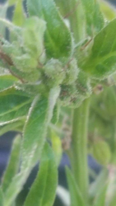 20180927_113125.jpg