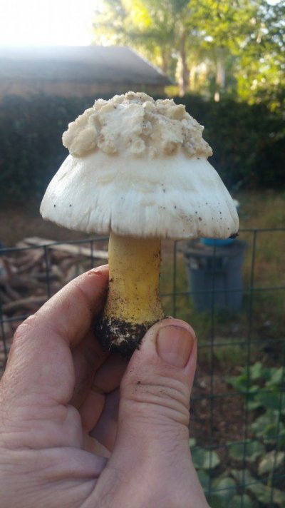 20181005_201544.jpg