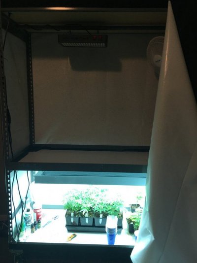 Diy Cabinets For Second Grow