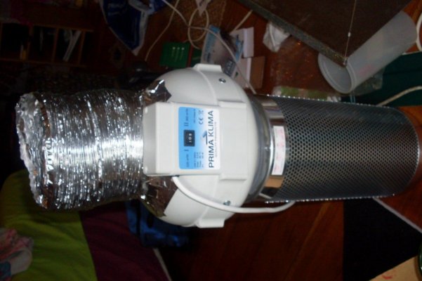 SDC10108.jpg