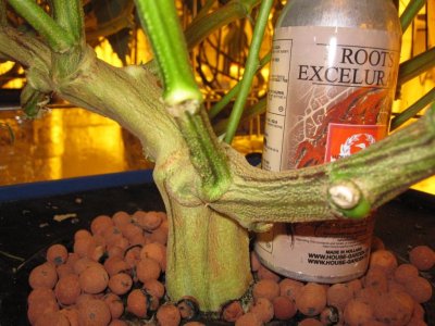 House & Garden Nutes., Under Current Systems, 30,000 Watts, 10 Tons of A/C, Co2