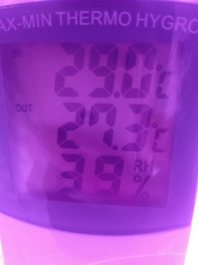 IMG_20181101_231310.jpg