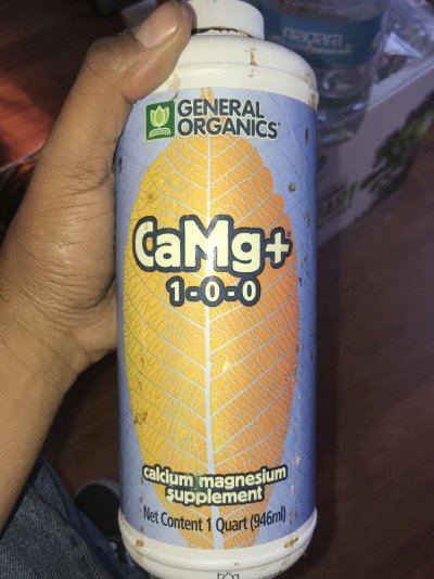 02FC6D0A-62ED-496D-A3A3-B149B2E27399.jpeg