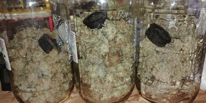 3 jars.jpg