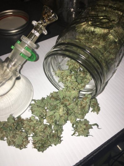 What Are You Smoking Today? (videos)
