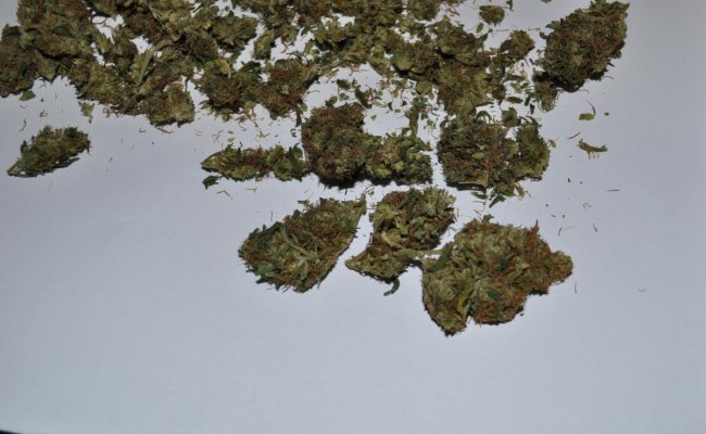 piff-nyc-haze-7.jpg