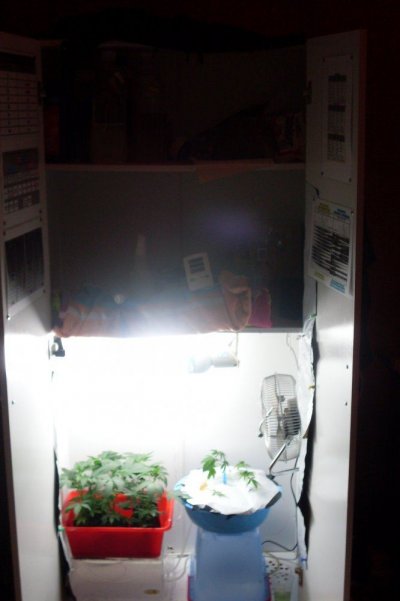 SDC10118.JPG