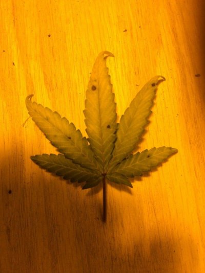 thumbnail_IMG_0481.jpg
