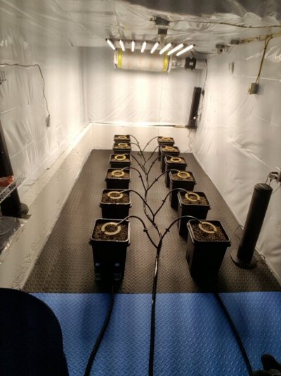 New Top Feed System Question