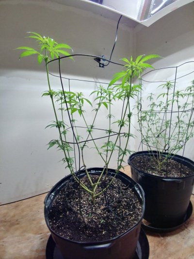 20181228_085853_HDR.jpg