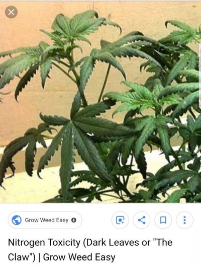 Screenshot_20190110-111116.jpg