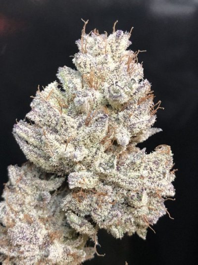 Let's See Your Frostiest Flowers