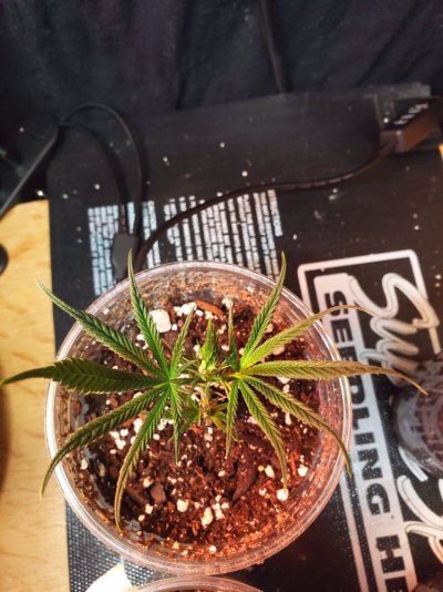 20190115_081645.jpg