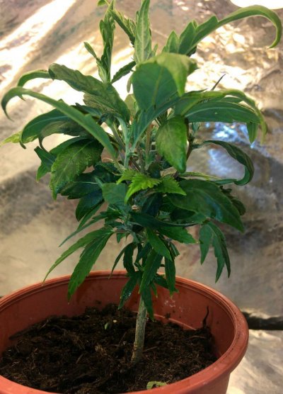 2019-01-15 18.49.10.jpg