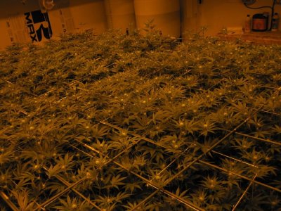 House & Garden Nutes., Under Current Systems, 30,000 Watts, 10 Tons of A/C, Co2