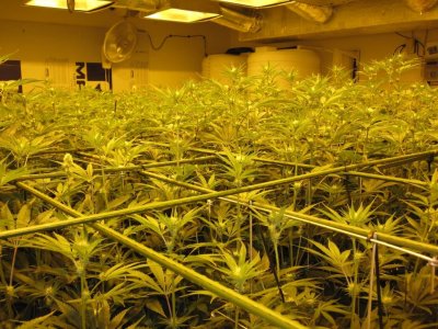 House & Garden Nutes., Under Current Systems, 30,000 Watts, 10 Tons of A/C, Co2