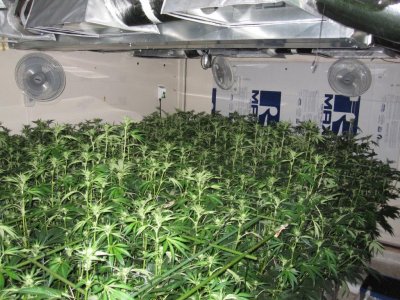 House & Garden Nutes., Under Current Systems, 30,000 Watts, 10 Tons of A/C, Co2
