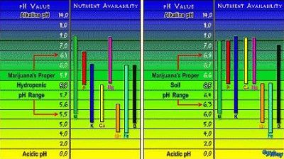 PH chart.jpg