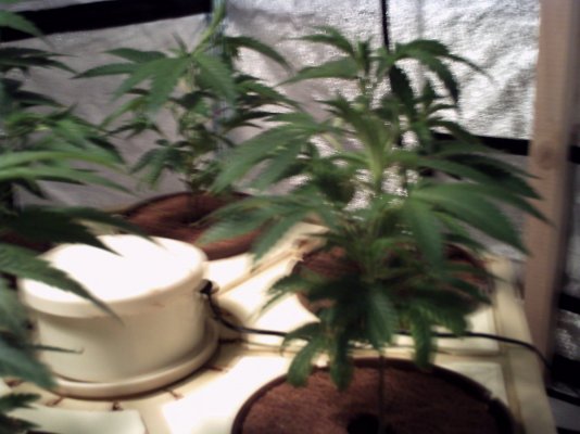 PICT0002.JPG