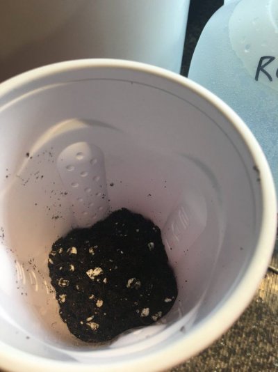 Soil Ph Slurry Test - Step By Step With Photos