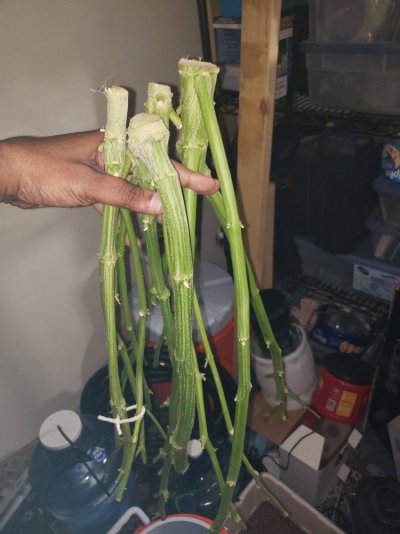 20190310_164303.jpg
