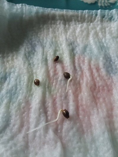 20190320_135933.jpg