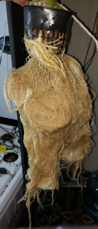 20190322_192720.jpg