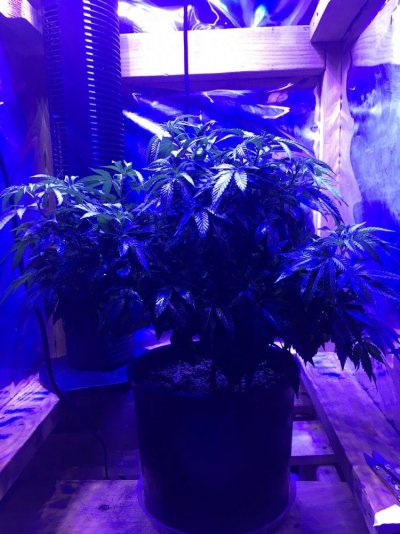 IMG_2896.JPG