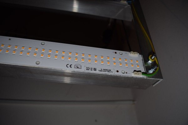 please-help---switched-to-leds--slow-growth-no-budding-3.jpg