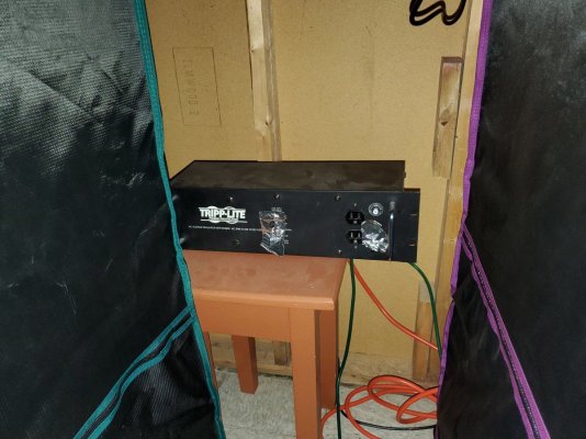 20190423_180818.jpg