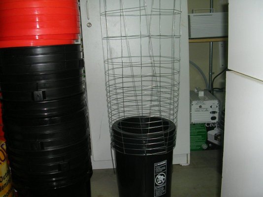 Steppin Up- 4k, 16 plant, DIY recirc buckets, '91 chem