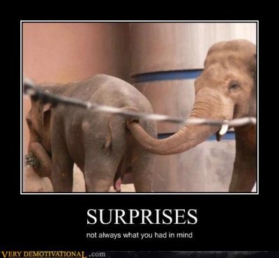 surprises.jpg