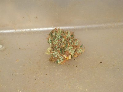 000_0004 (Large).jpg