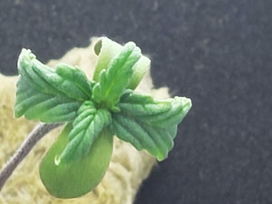 20190508_145637.jpg