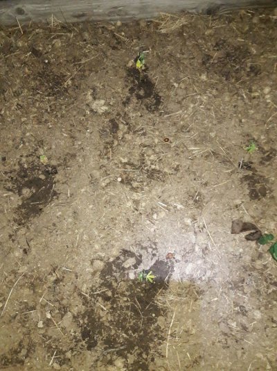20190528_202323.jpg