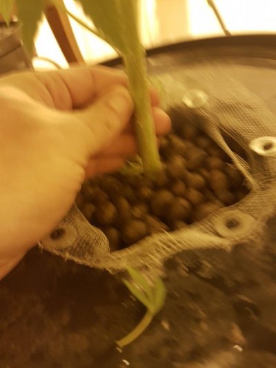 20190607_061436_047.jpg