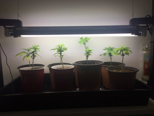 New here and eager to learn