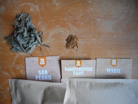seeds%20and%20herbs-min-min.JPG