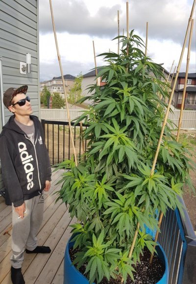 first-legal-grow-edmonton-2019-11.jpg