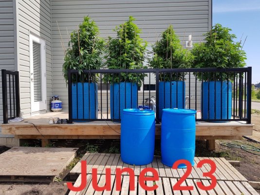 first-legal-grow-edmonton-2019-12.jpg