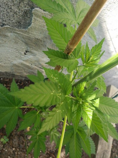 20190626_170922.jpg