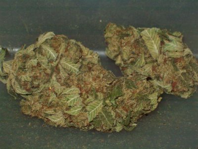 Ak-47.jpg